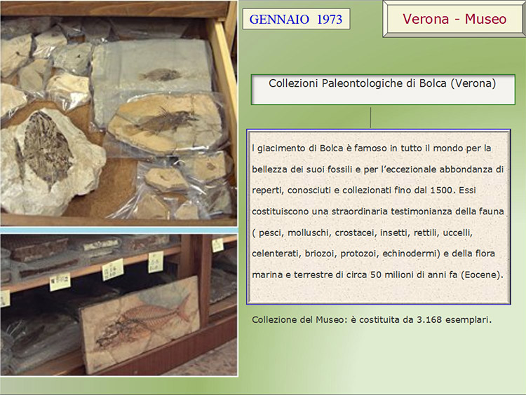 descrizione gita