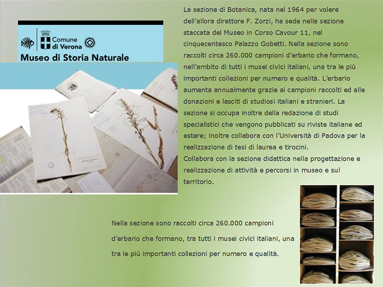 museo di storia naturale