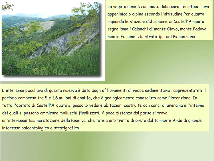 l'ambiente
