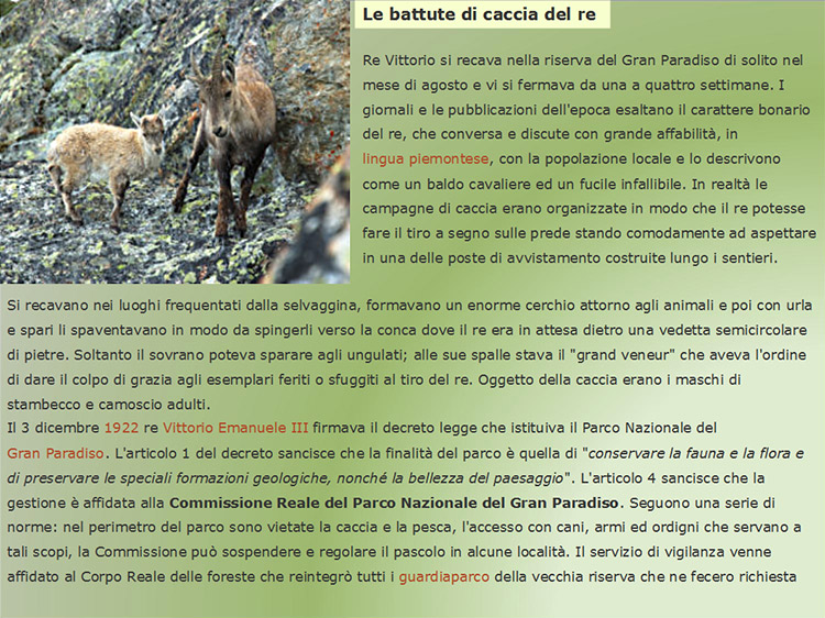 battute di caccia del re