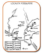 località fossilifere località fossilifere